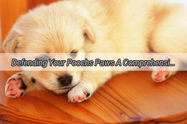 Defending Your Poochs Paws A Comprehensive Guide to Preventing Canine Parvovirus